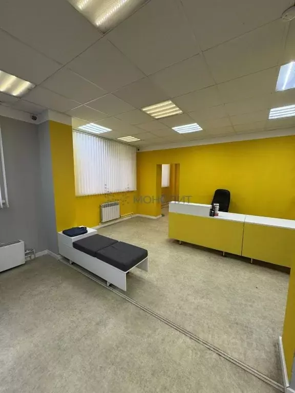 Помещение свободного назначения в Нижегородская область, Шахунья ул. ... - Фото 2