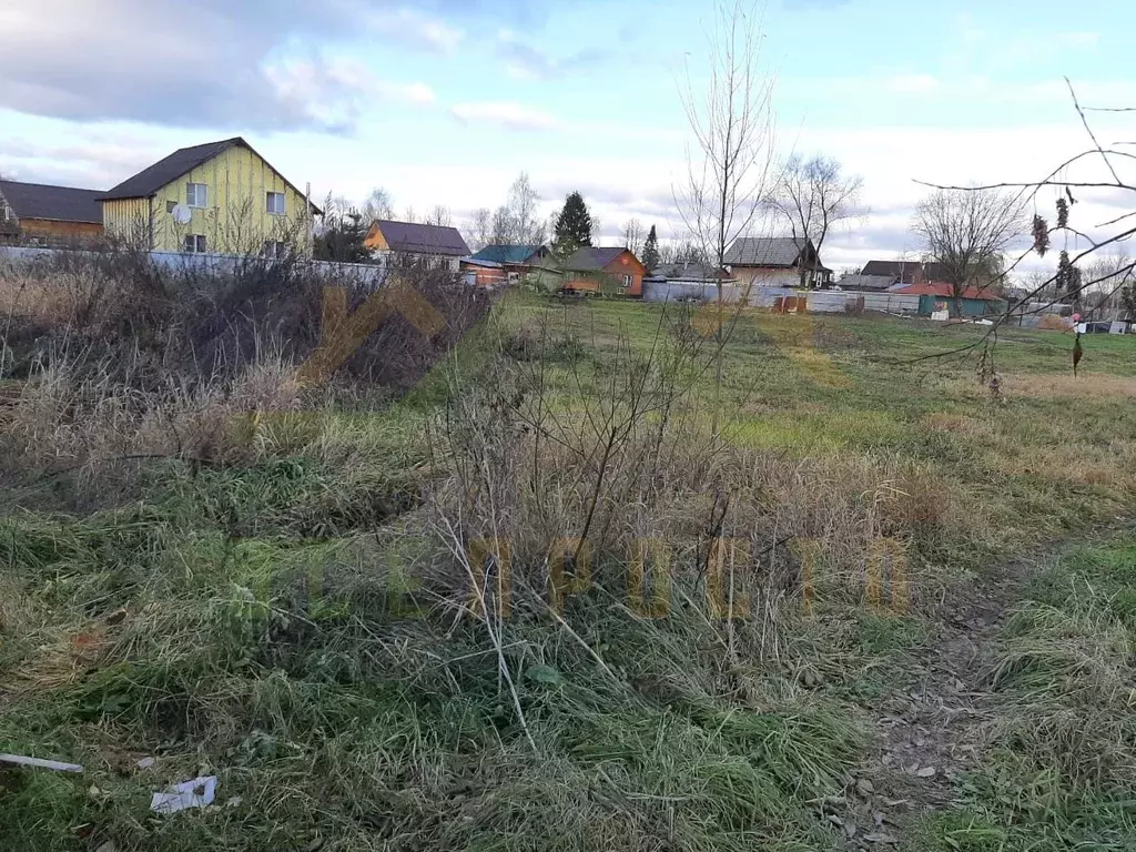Участок в Московская область, Богородский городской округ, д. Ивашево ... - Фото 2