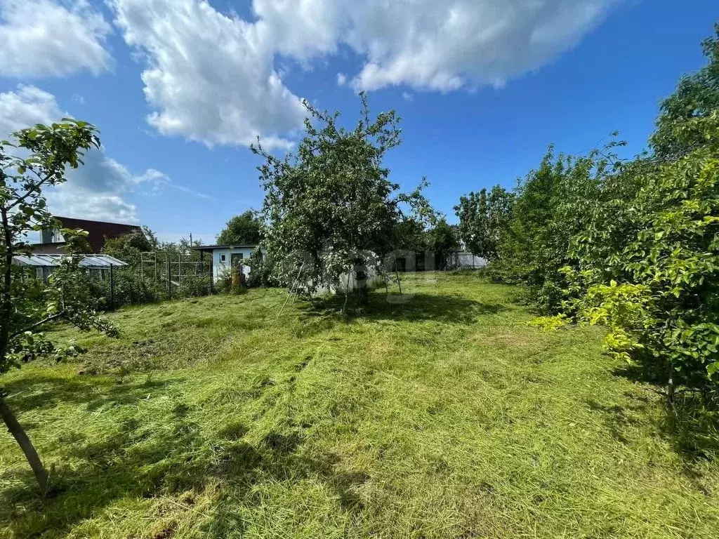 Участок в Калининградская область, Светлогорск Радуга СНТ, 11-я линия, ... - Фото 0