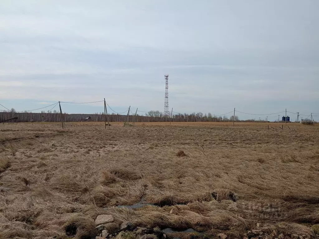 Участок в Челябинская область, Сосновский район, Долгодеревенское ... - Фото 0