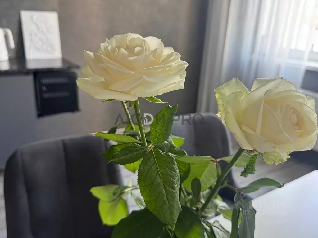 3-к кв. Саратовская область, Энгельс Энгельс-9 мкр, 3 (74.0 м) - Фото 1