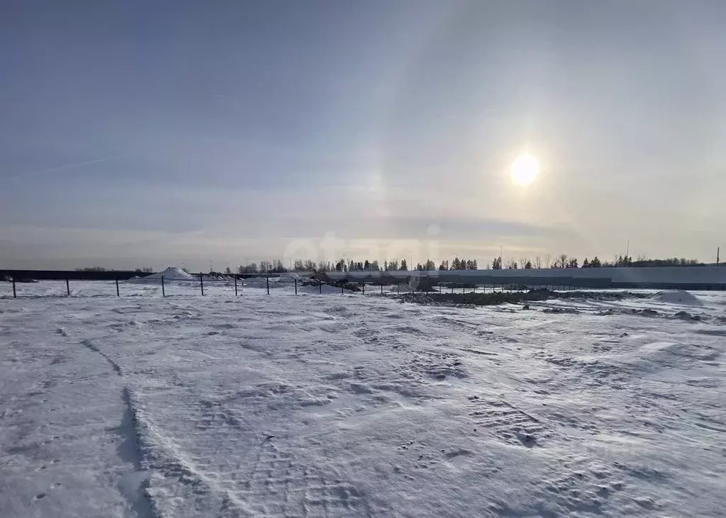 Участок в Московская область, Подольск городской округ, д. Сертякино  ... - Фото 1