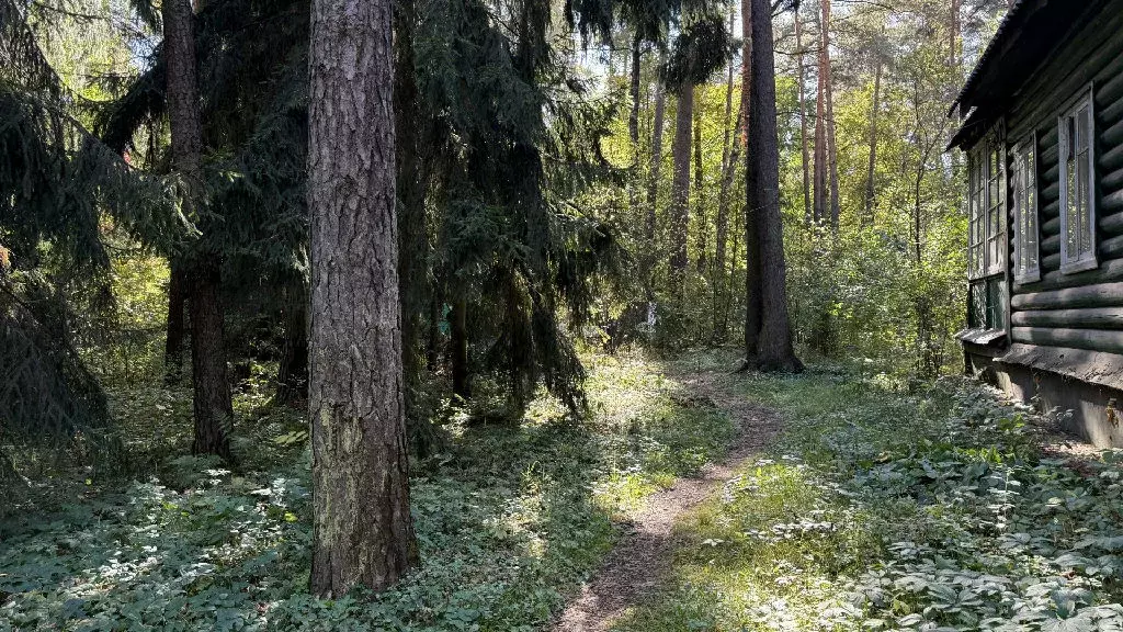 Продается участок в дп Кратово - Фото 1