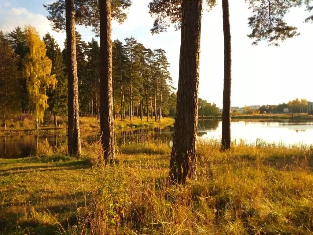 1-к кв. Московская область, Одинцовский городской округ, д. Ликино ... - Фото 0