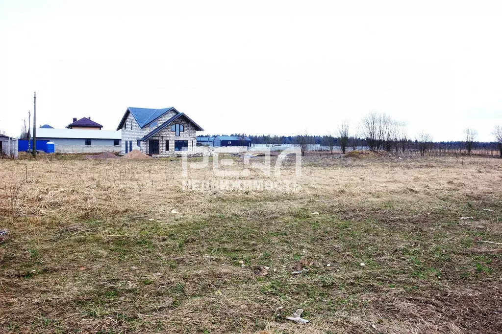 Участок в деревня Шпаньково, Гатчинское шоссе (40 м) - Фото 2