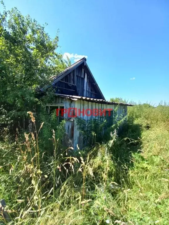 Дом в Новосибирская область, Ордынский район, с. Чингис ул. Кустарная, ... - Фото 2