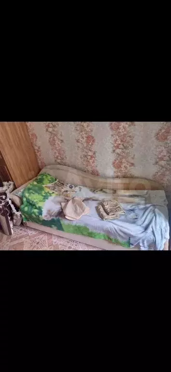 Комната 10 м в 1-к., 1/5 эт. - Фото 0