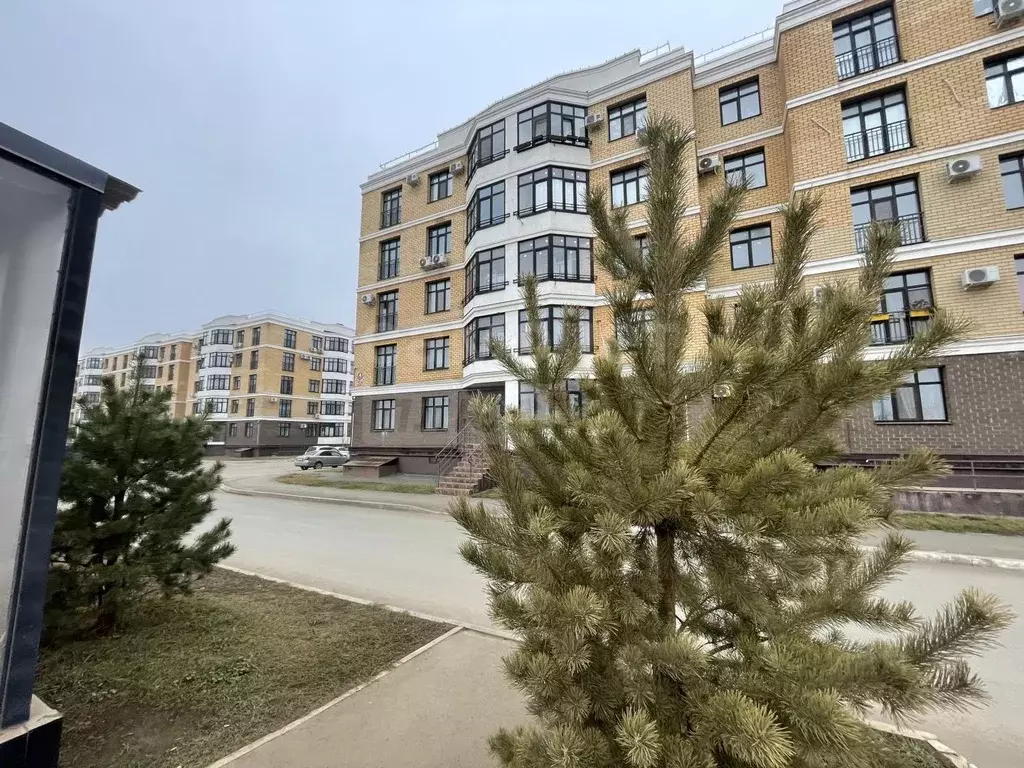 3-к кв. Оренбургская область, Оренбург ул. Ильи Глазунова, 4 (88.8 м) - Фото 1