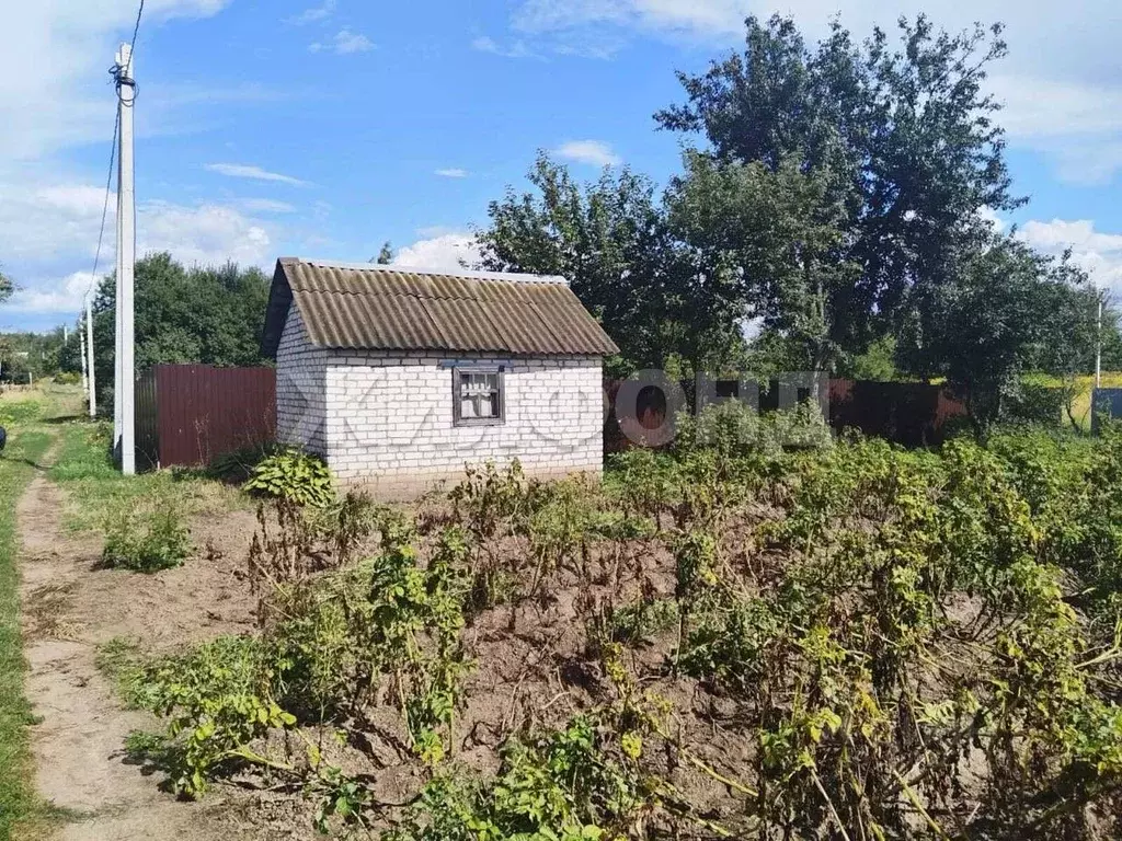 Дом в Брянская область, Брянск  (12 м) - Фото 1