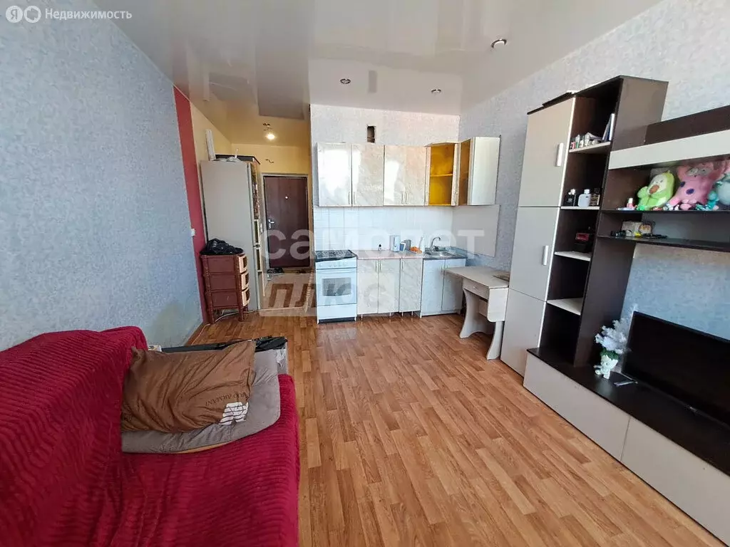 Квартира-студия: село Засечное, Радужная улица, 8 (28 м) - Фото 1