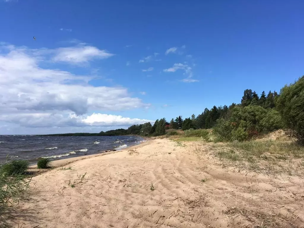 Участок в Псковская область, Гдовский район, Юшкинская волость, д. ... - Фото 1