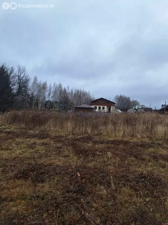 Участок в Нижегородская область, Богородский муниципальный округ, ... - Фото 1