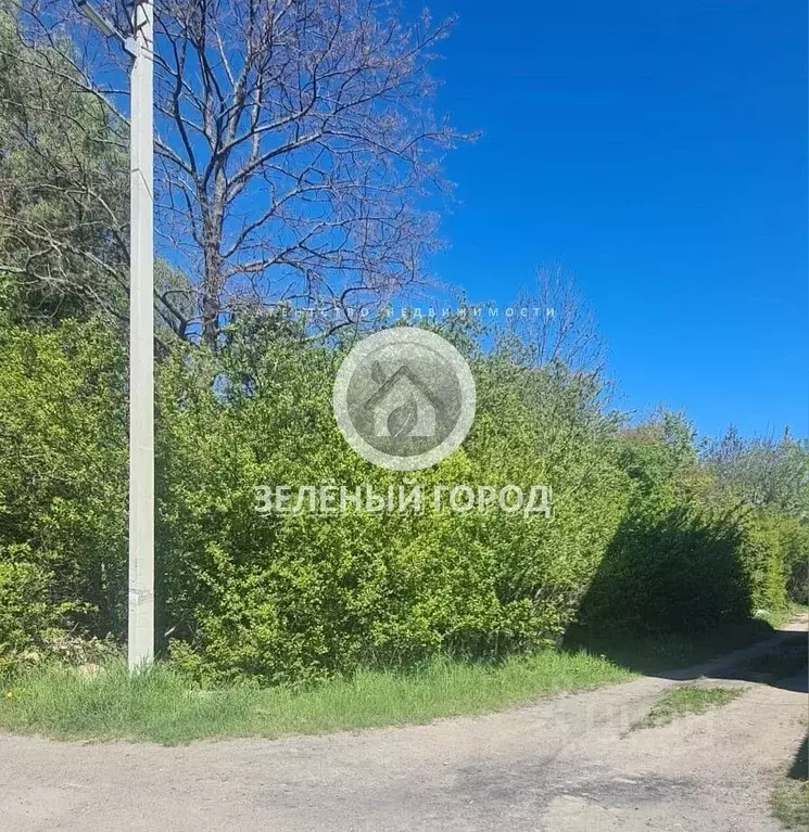 Участок в Калининградская область, Пионерский Ягодка СНТ,  (6.0 сот.) - Фото 0