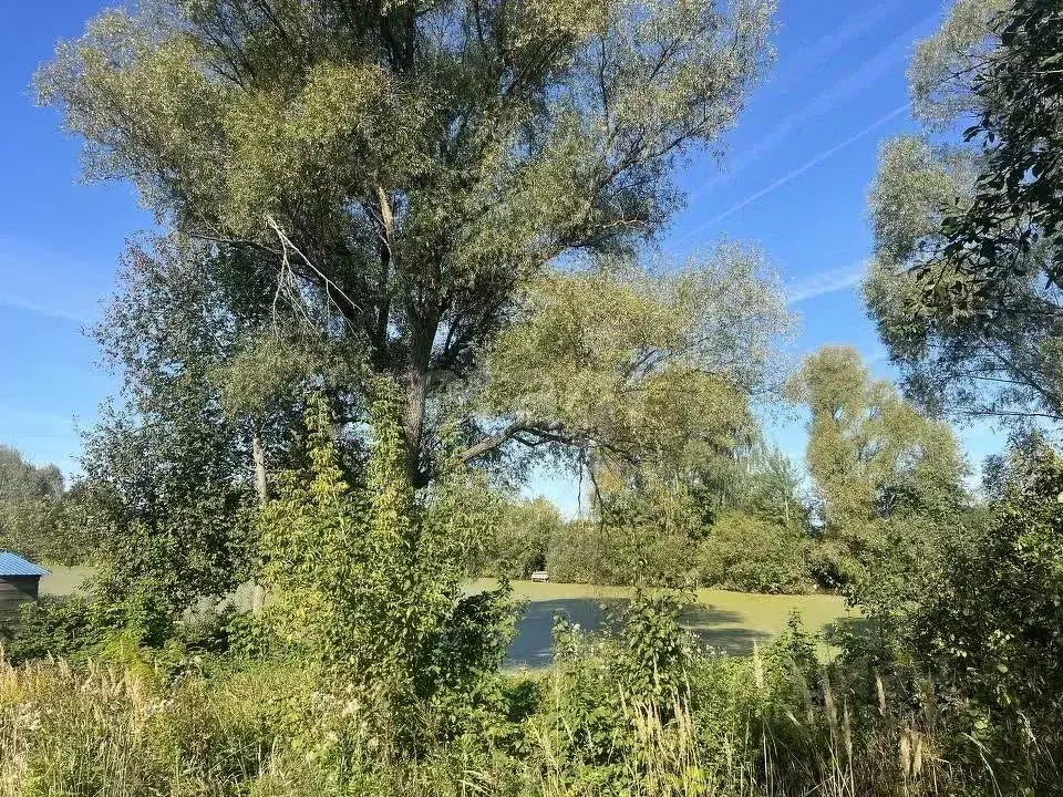 Дом в Владимирская область, Муром с. Стригино, ул. Первая, 29 (45 м) - Фото 1