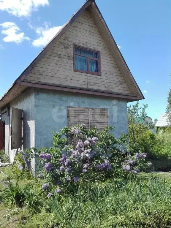 Дом в Ярославская область, Рыбинский муниципальный округ, Лесное-6 СНТ ... - Фото 1