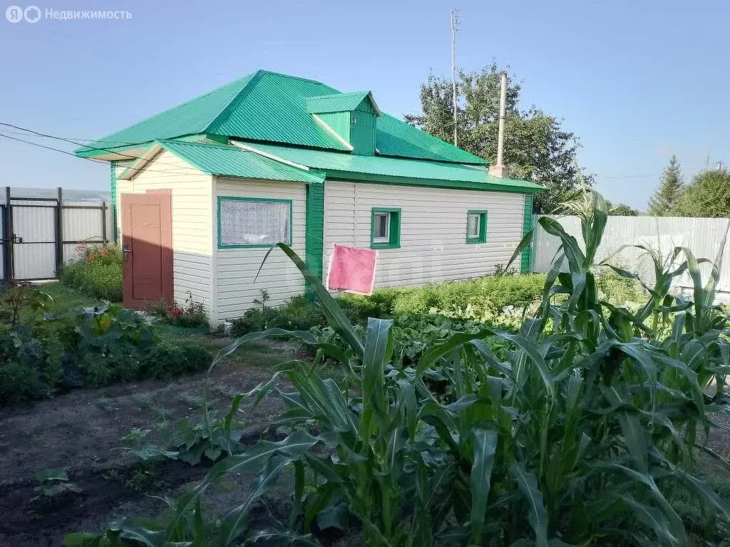 Дом в Тюменская область, Исетский муниципальный округ, деревня ... - Фото 2