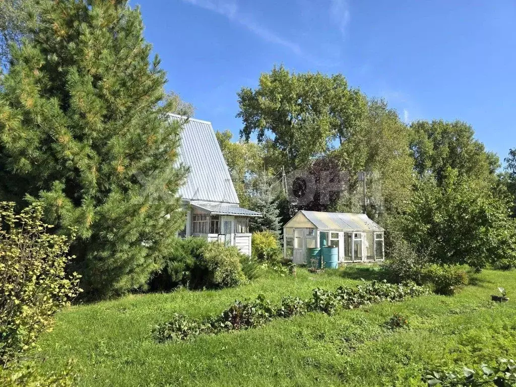 Дом в Новосибирская область, Колыванский район, Заря СНТ  (54 м) - Фото 1