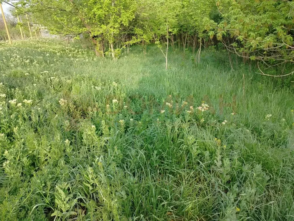 Участок в Ростовская область, Октябрьский район, Красюковское с/пос, ... - Фото 2
