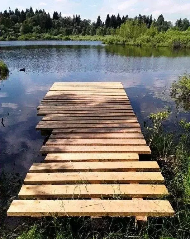 Участок в Московская область, Солнечногорск городской округ, д. Яркино ... - Фото 2