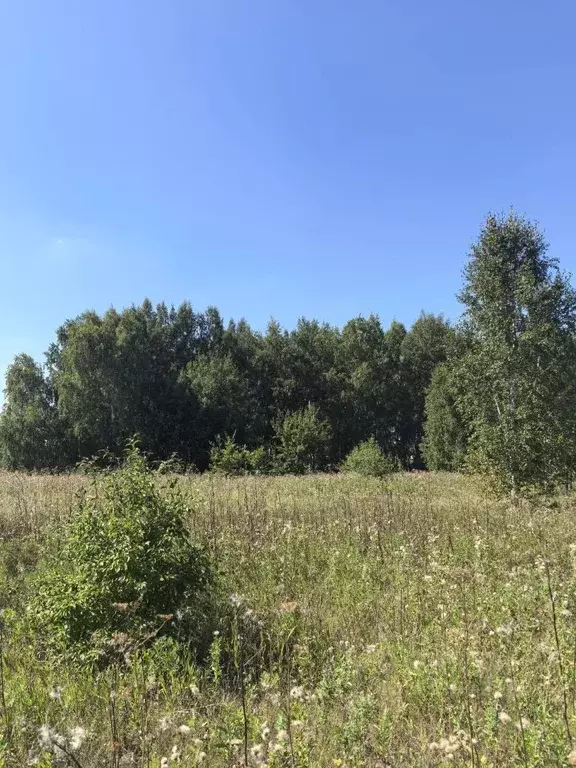 Участок в Омская область, Омск ул. Видная (8.1 сот.) - Фото 1