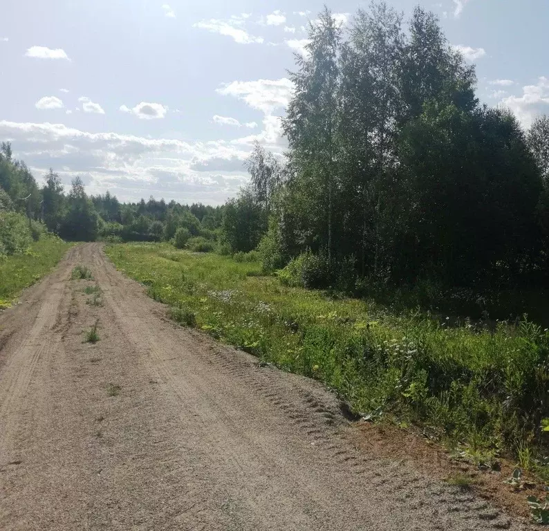 Участок в Ярославская область, Переславль-Залесский городской округ, ... - Фото 1