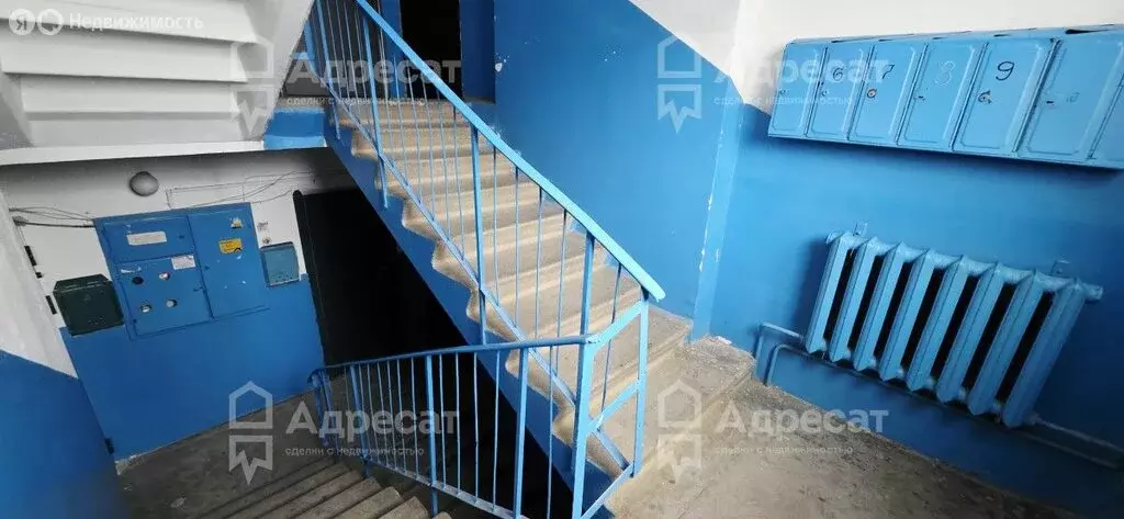 1-комнатная квартира: Волжский, проспект Дружбы, 93 (26.8 м) - Фото 1