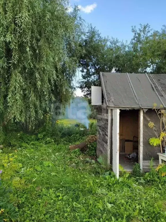 Участок в Новосибирская область, Новосибирск Маяк СНТ, ул. Прибрежная, ... - Фото 1