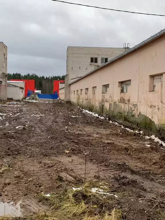 Производство - Фото 1