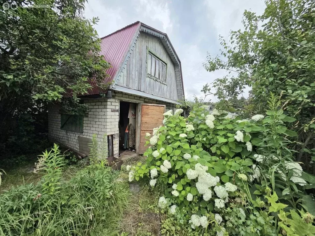 Участок в Саров, СНТ Восход, 1-й проезд, 4 (6 м) - Фото 2