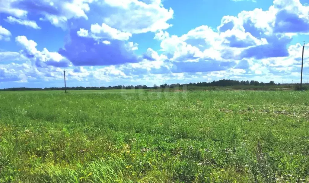 Участок в Брянская область, Унечский район А-240, 118-й км (24.0 сот.) - Фото 1