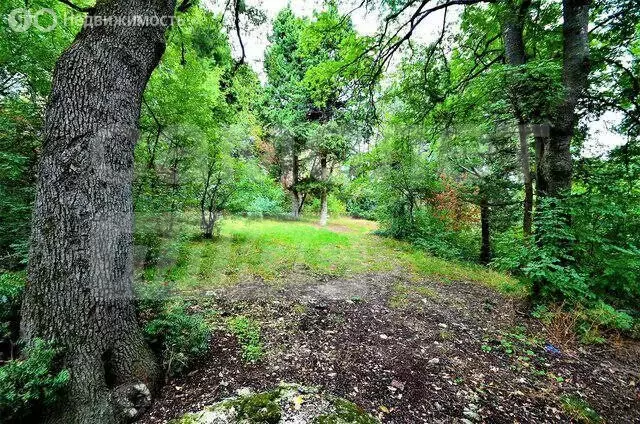 Участок в Республика Крым, муниципальный округ Ялта, посёлок ... - Фото 1