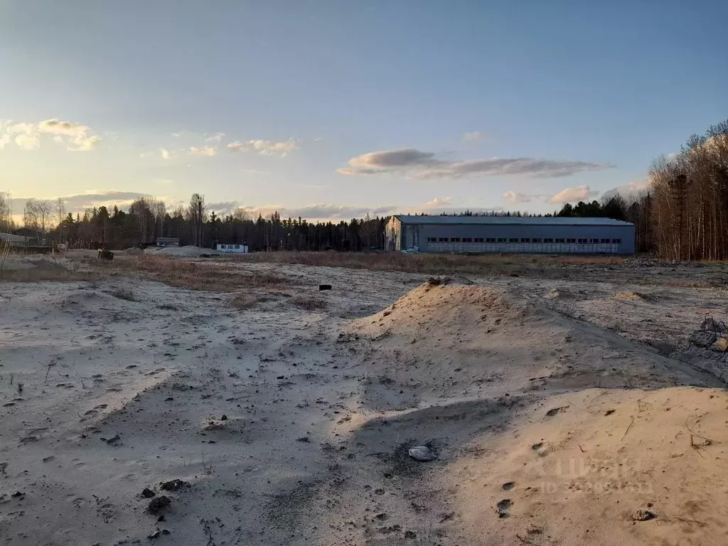 Помещение свободного назначения в Ханты-Мансийский АО, Нижневартовский ... - Фото 0