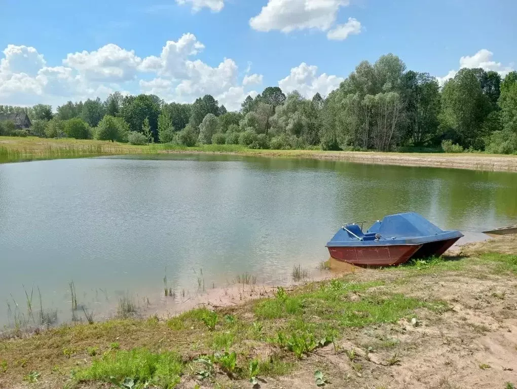 Дом в Псковская область, Пушкиногорье городское поселение, д. Кокорино ... - Фото 1