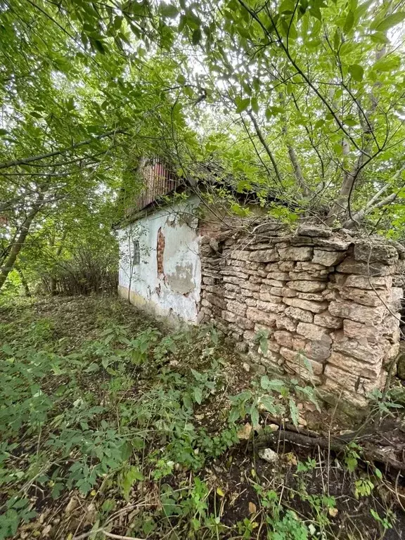 Дом в Тульская область, Ефремовский район, д. Шкилевка  (53 м) - Фото 1