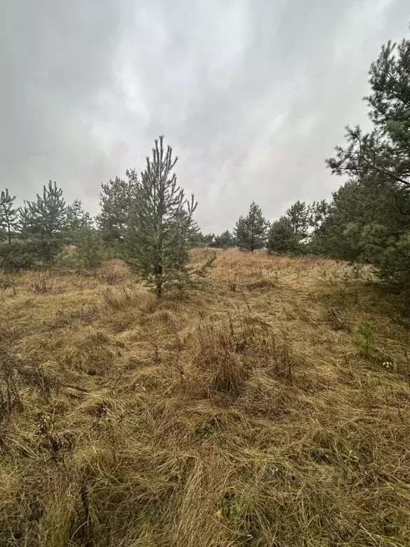 Участок в Московская область, Егорьевск муниципальный округ, д. ... - Фото 2