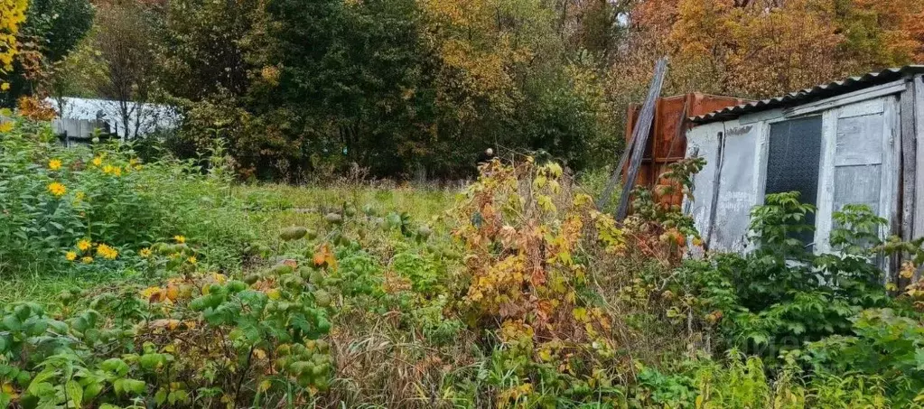 Участок в Башкортостан, Гафурийский район, Красноусольский сельсовет, ... - Фото 1