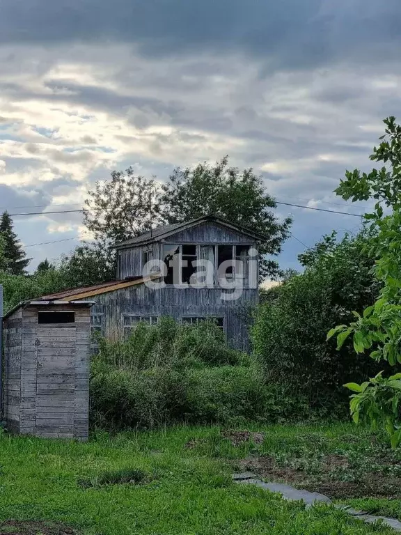 Участок в Костромская область, Кострома Сад Бетонщик СНТ, 5 (6.0 сот.) - Фото 1