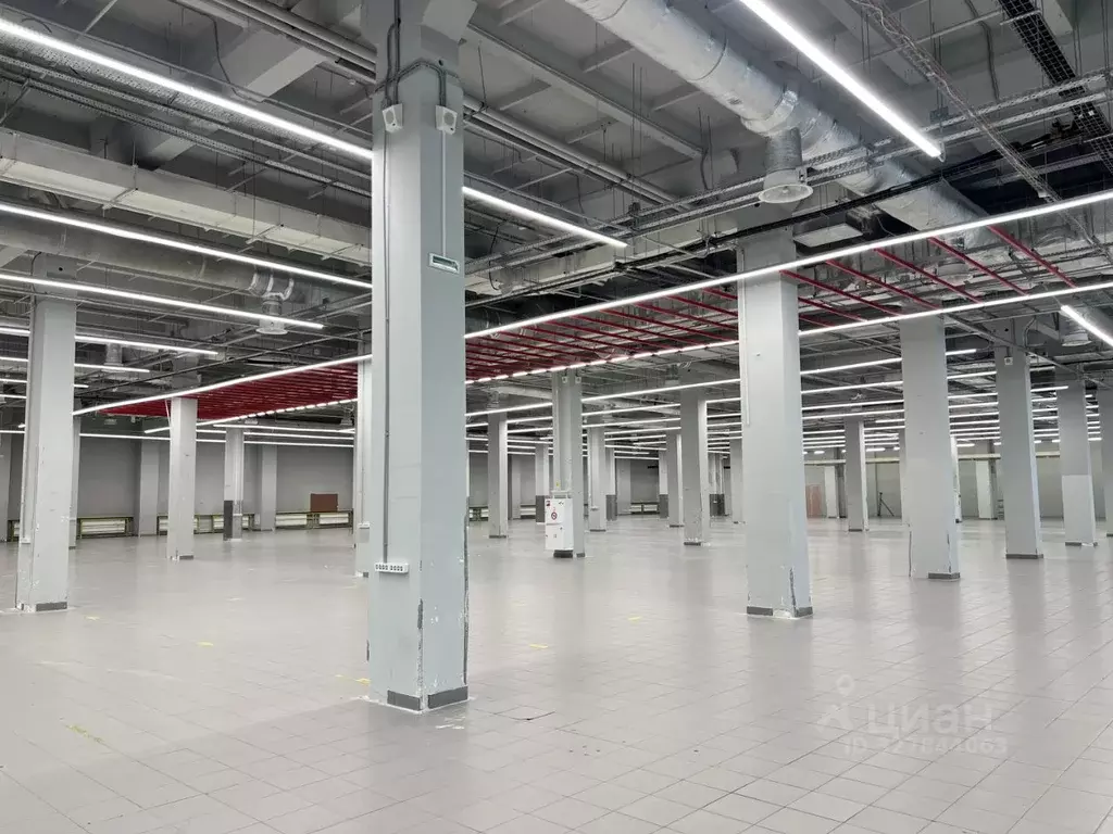 Склад в Москва Щелковское ш., 100к100 (1665 м) - Фото 1