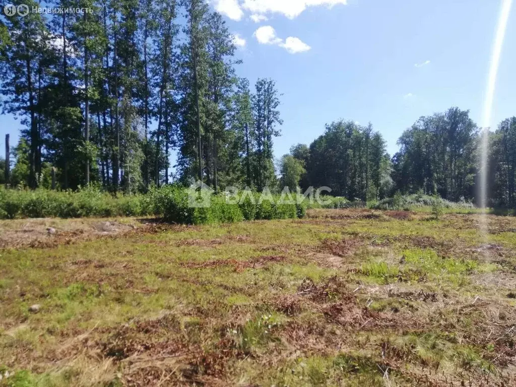 Участок в Плодовское сельское поселение, ДНТ Комсомольское (17.5 м) - Фото 2