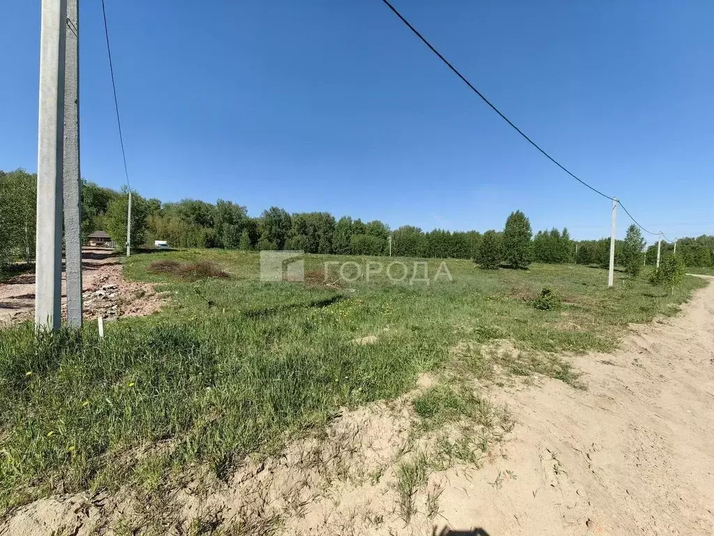 Участок в Новосибирская область, Новосибирский район, Станционный ... - Фото 1