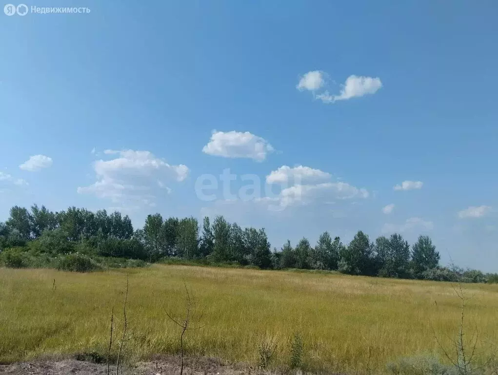 Дом в Елизаветинское сельское поселение, хутор Курган, Береговая улица ... - Фото 0