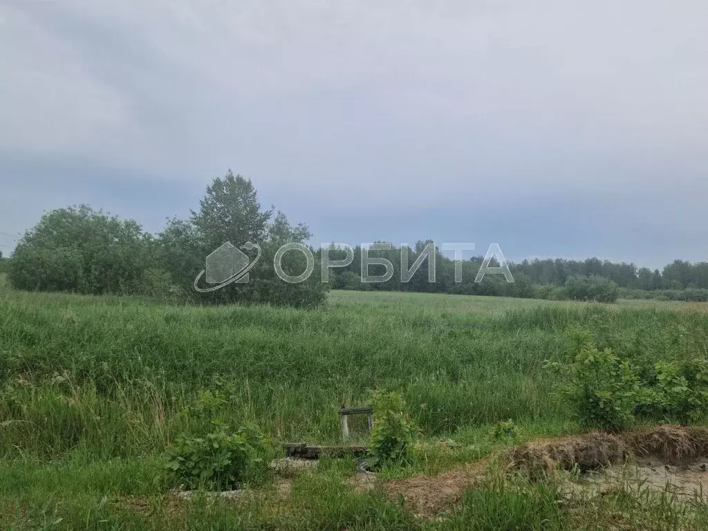 Участок в Тюменская область, Тюмень Лаванда садовое товарищество,  ... - Фото 0