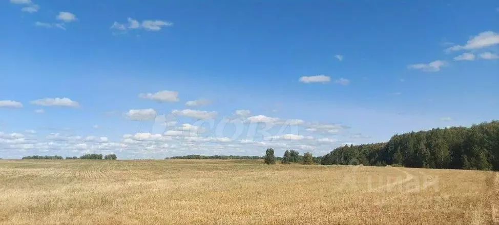 Участок в Тюменская область, Тюменский район, с. Червишево  (6000.0 ... - Фото 0