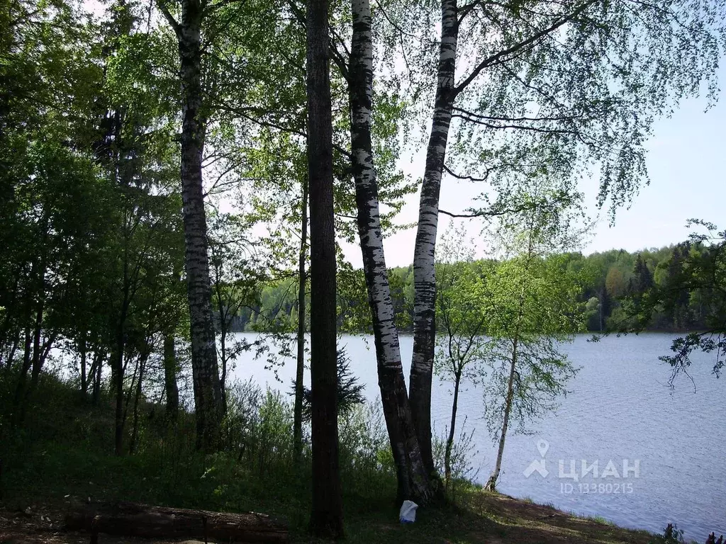 Чайковский карьер зубцовский район фото