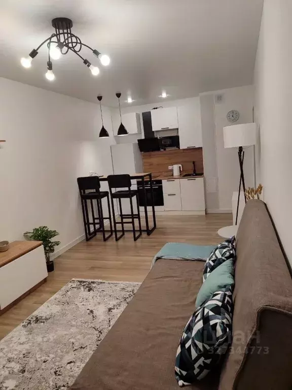 Студия Ленинградская область, Мурино Всеволожский район, просп. ... - Фото 1