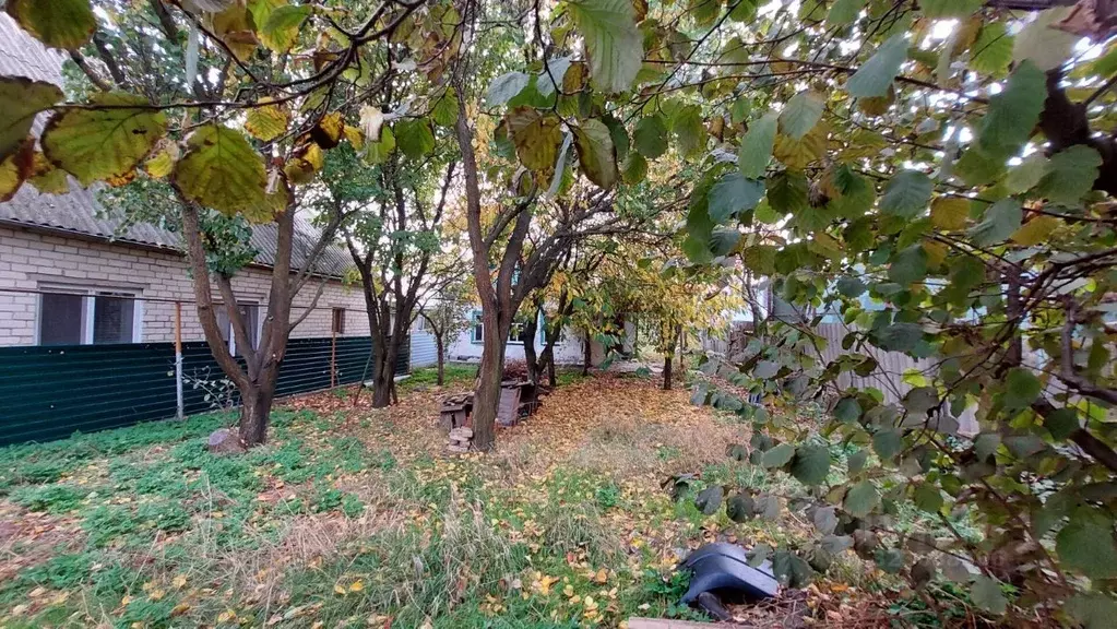 Участок в Краснодарский край, Темрюк ул. Калинина, 98 (6.0 сот.) - Фото 2
