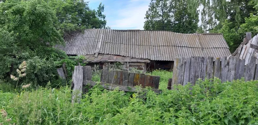 Участок в Чувашия, Чебоксары Обиковская ул., 104 (5.2 сот.) - Фото 0