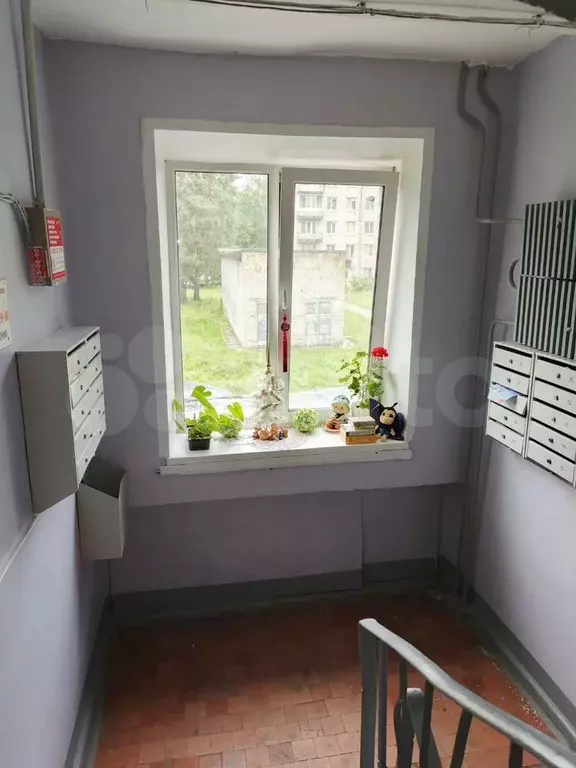 1-к. квартира, 30,5 м, 2/5 эт. - Фото 1