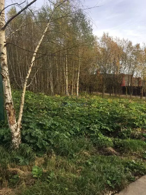 Участок в Москва пос. Подсобного хозяйства Минзаг, 1 (6.0 сот.) - Фото 1