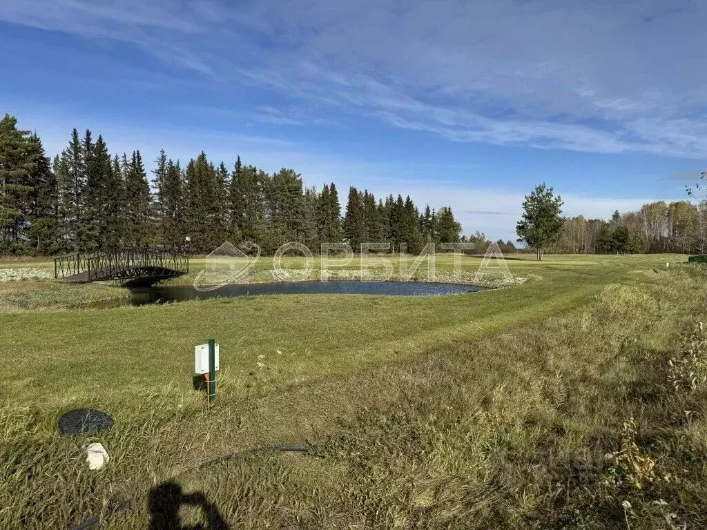 Участок в Тюменская область, Тюменский муниципальный округ, с. ... - Фото 2